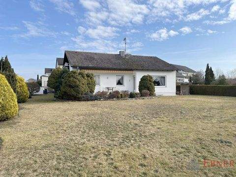 Roding Häuser, Roding Haus kaufen