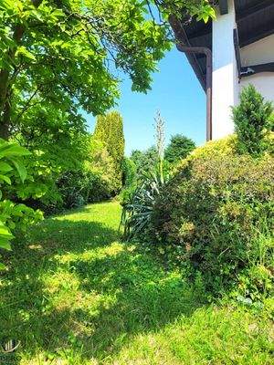 Sonniger Garten
