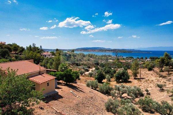 img_92239efb-ee6e-49aa-b00f-65a0c04cbc0b