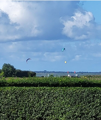 Kite-Surfer auf dem Saaler Bodden