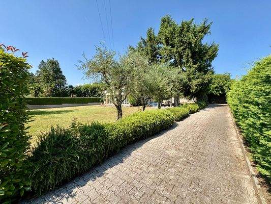 WhatsApp Image 2025-06-19 at 16.53.15 (7).jpeg