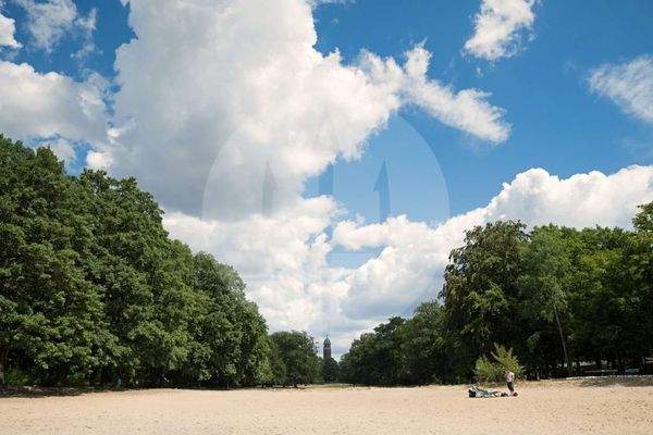 Volkspark Jungfernheide I Bildquelle Bernd Eufinger