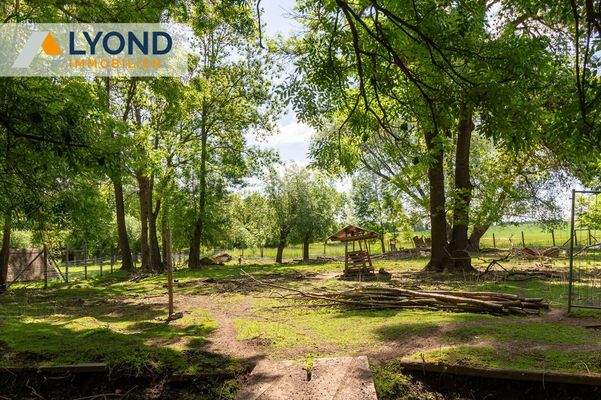 Grünfläche mit Baumbestand