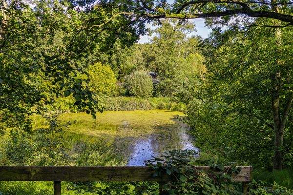 Eigener See auf dem Grundstück