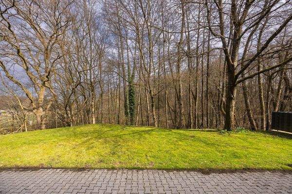 Außenansicht, Garten, Waldrand