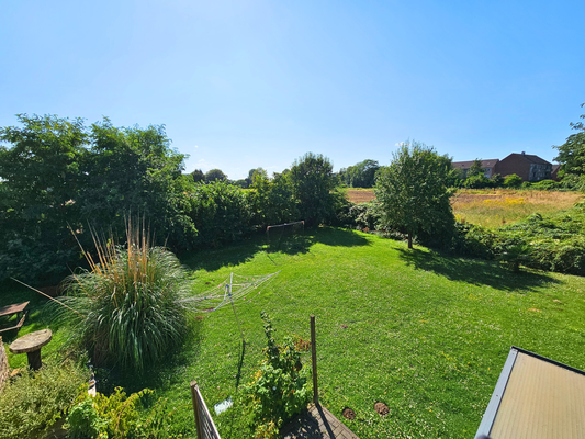 Blick in den Garten 05.png