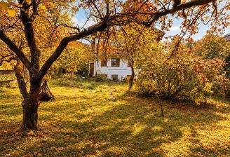 Garten mit Blick auf das Haus