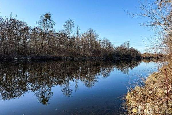 Blick vom Grundstück