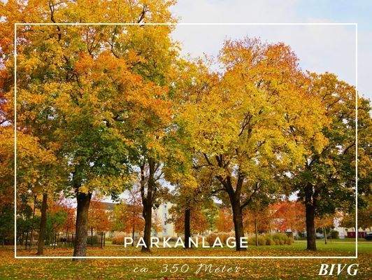 Herbstliche Parkanlage