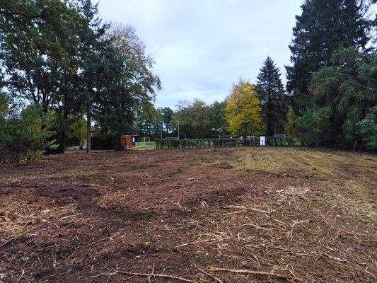 Grundstück: Blick Richtg. Straße