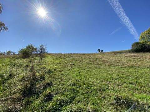 Anschau-Mimbach Häuser, Anschau-Mimbach Haus kaufen
