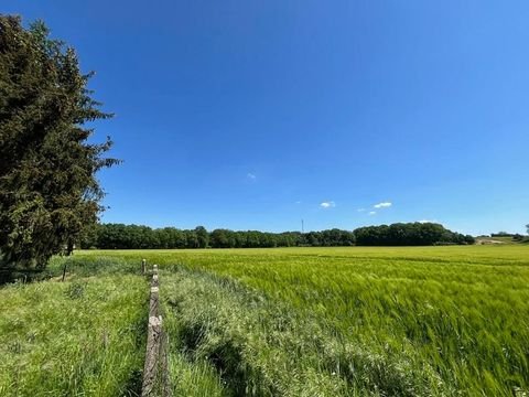 Lüttenmark Häuser, Lüttenmark Haus kaufen