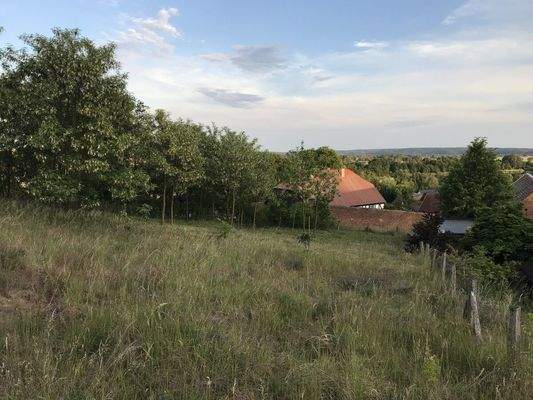 Blick über das Grundstück nach Süd-Osten