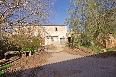 Campos Häuser, Campos Haus kaufen