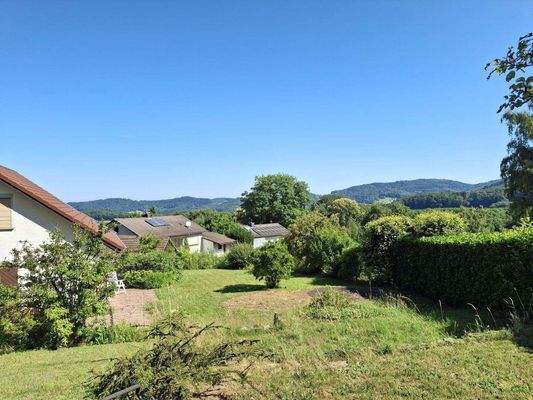 Blick vom Waldrand.jpg