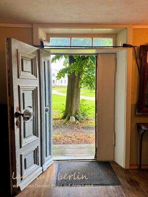 Blick aus dem Haus.jpg