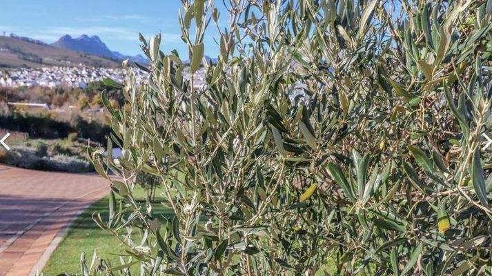 immosquare-objekt-11