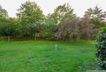 3 Garten