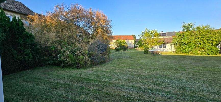 Direktes Umfeld im Sommer