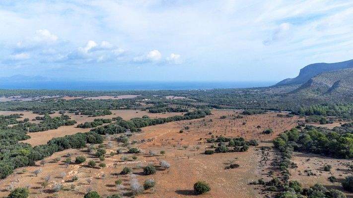 Landwirtschafts-Finca mit mehreren Gebäuden zum Verkauf in Arta, Mallorca