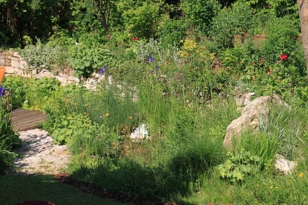 V005-2025_Gartenidylle_3