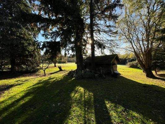 freier Blick ins Grüne