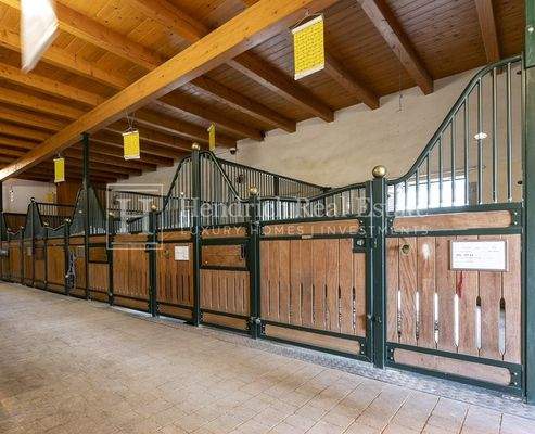 6 alois_burian_stegersbach_drop_120_low_res.jpg geschnitten