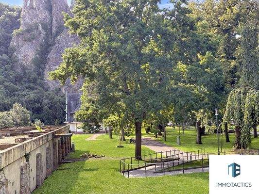 Aussicht in den Park