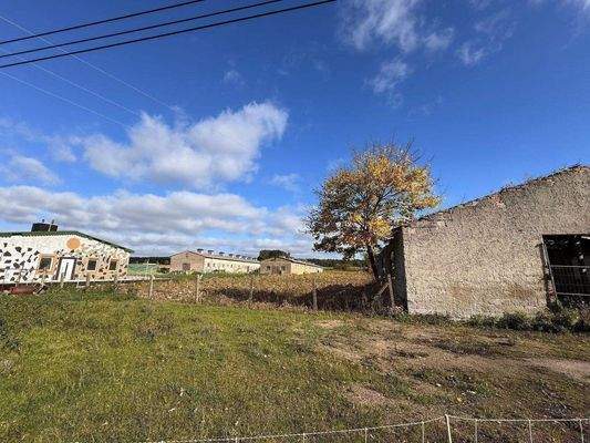 Blick auf das Grundstück mit den Hallen u. dem EFH