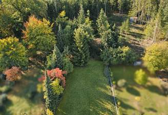 Luftaufnahme mit Wald