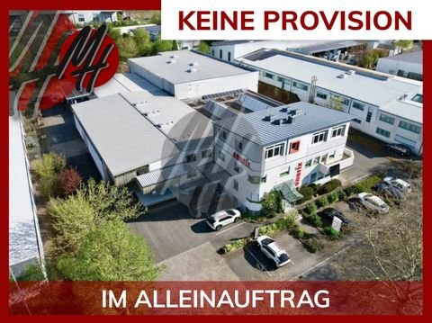 Aschaffenburg Halle, Aschaffenburg Hallenfläche