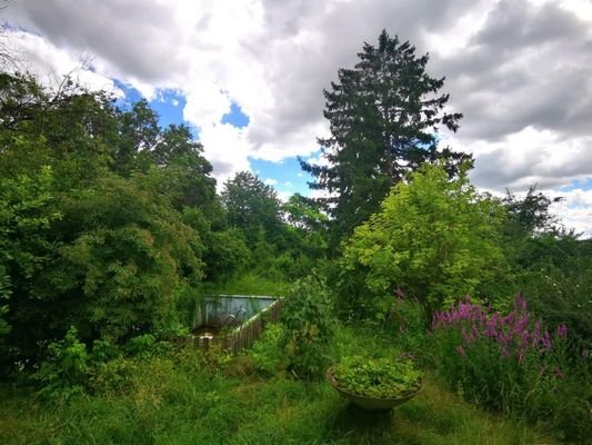 Ausblick vom Balkon