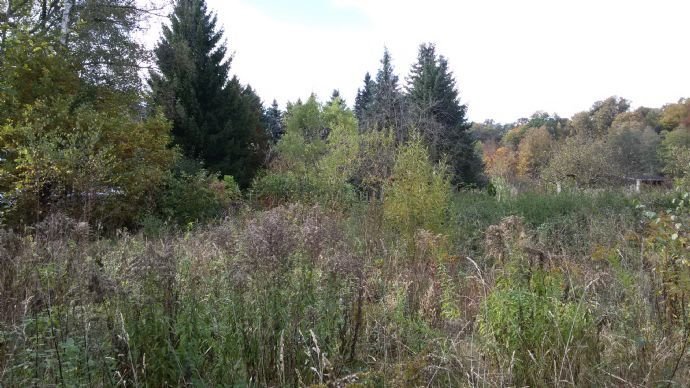 Innenstadtlage-Top-Baugrundstück