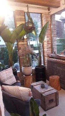 Wintergarten Bild 2.jpg