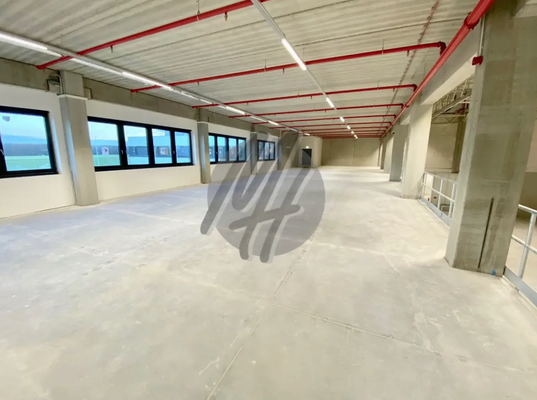 INFOS UNTER: 06171-586000