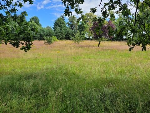 Bad Bodenteich Grundstücke, Bad Bodenteich Grundstück kaufen