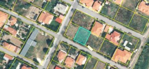 Chalkidiki Bauernhöfe, Landwirtschaft, Chalkidiki Forstwirtschaft