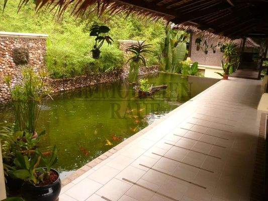 Koiteich im Wohnbereich