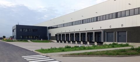 Schönfeld Halle, Schönfeld Hallenfläche