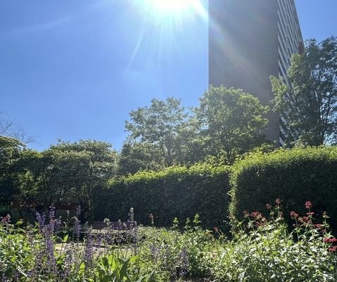 Außen Haus B mit Vegetation