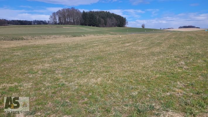 132233 Aussicht