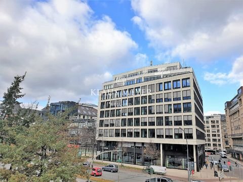 Hamburg Ladenlokale, Ladenflächen 