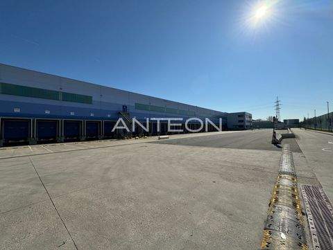 Dormagen Halle, Dormagen Hallenfläche