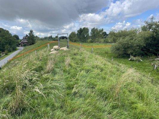 zugehöriges Deichgrundstück