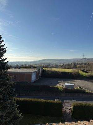 Blick in den Rheingau