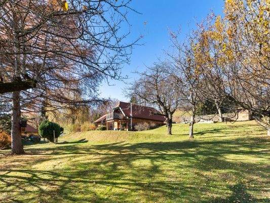 Sehr gepflegter Garten