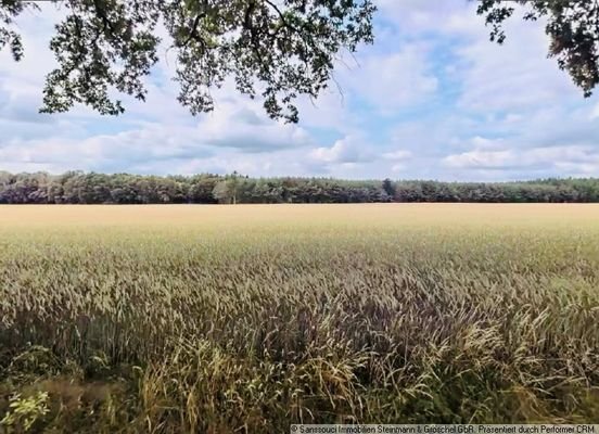 Feld- und Waldblick