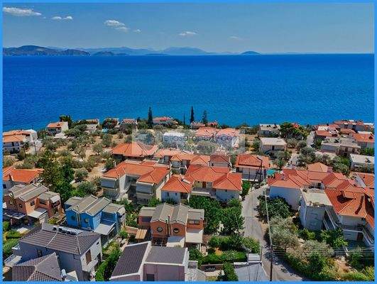 c23f87a4bc8c481b88addd180ce076e5-original