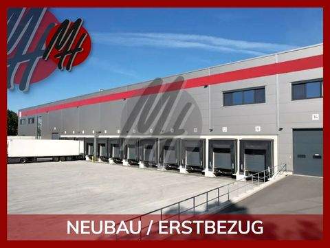 Groß-Rohrheim Halle, Groß-Rohrheim Hallenfläche