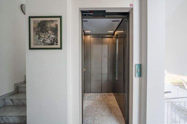 20250806-DSC08525-HDR-SJ Photography (Selina Jakob)